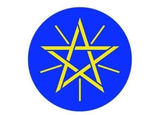 “የሚታየውን ሕገወጥነት ለመቆጣጠርና በንፁሃን ዜጎች ላይ የሚደርሰውን ጉዳት ለመከላከል ከመላው የጸጥታ አካላት ጋር በመሆን እየተሠራ ይገኛል” የመንግሥት ኮሙኒኬሽን አገልግሎት