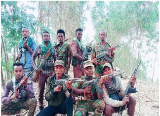“ወራሪውን ቡድን እስካልደመሰስን ድረስ እንቅልፍ አይወስደንም” የጠገዴ ወረዳ ሚሊሻዎች