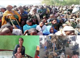 “አስጨነቀኝ ጭንቀታቸው፣ ምንስ ኾኜ ምን ላርጋቸው”