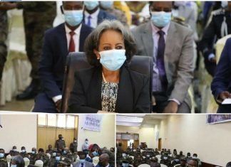 ፕሬዚዳንት ሣኅለወርቅ ዘውዴ በኅልውና ዘመቻው ከፍተኛ ተጋድሎ ላደረጉ ሴት የሠራዊት አባላት እውቅና ሰጡ።