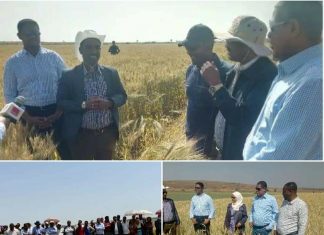 “አዝጋሚ የሆነውን የግብርና ምርት እድገት ለመለወጥ ጉዞውን ከእርምጃ ወደ ሩጫ መቀየር ይገባል”ጠቅላይ ሚኒስትር ዶክተር ዐቢይ አሕመድ