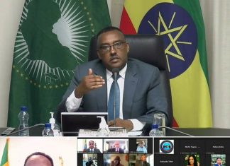ዳያስፖራው ኤች አር 6600ና ኤስ 3199 የተባሉት አደገኛ ረቂቅ ሕጎች እንዳይጸድቁ በተቀናጀ የአንደነት ዘመቻ እንዲንቀሳቀስ አቶ ደመቀ መኮንን ጥሪ አቀረቡ፡፡