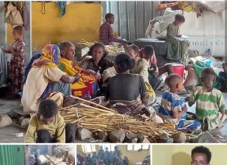 ሕፃናት እና እናቶች አኹንም የኢትዮጵያዊያንን ድጋፍ ይሻሉ።