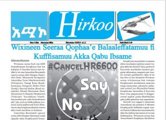 Maxxansa Gaazexaa Hirkoo Bitootessa 15/2014