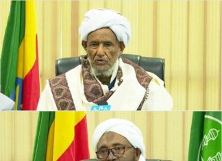 “ከመላው ዓለም በመሰባሰብ ዒድን በጋራ ለማክበር የቀረበው ጥሪ አንድነትና ትብብራችንን በተግባር የምናሳይበት ነው” የኢትዮጵያ እስልምና ጉዳዮች ጠቅላይ ምክር ቤት