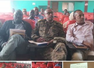 የሁለቱ ክልሎች ከፍተኛ አመራሮች በአዋሳኝ አካባቢዎች የሚፈጠሩ የጸጥታ ችግሮችን በዘላቂነት ለመፍታት መከሩ።