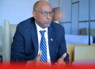 “የኢትዮጵያ እና የሶማሊላንድ የባሕር በር ስምምነት በሦስተኛ አካላት አይቀየርም” ዒሳ ካይድ መሐሙድ(ዶ.ር)