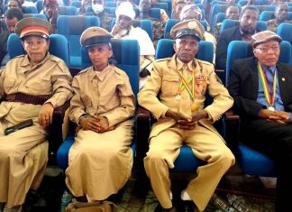 “ዓድዋ ለሀገር ቅድሚያ መስጠትን የተማርንበት የድል በዓላችን ነው” መንገሻ አየነ (ዶ.ር )