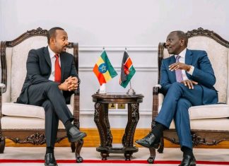 ኢትዮጵያና ኬንያ በቀጣናው ሰላምና ደህንነትን ማረጋገጥ በሚችሉበት ሁኔታ ላይ መወያየታቸውን የመንግሥት ኮሙዩኒኬሽን አገልግሎት ሚኒስቴር አስታወቀ።