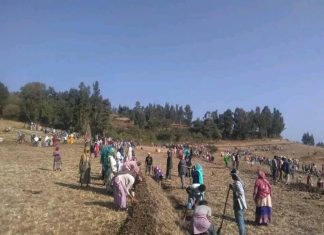 ደቡብ ወሎ ዞን 23ሽ 859 ሄክታር መሬት በአፈር እና ውኃ ጥበቃ ሥራ መሸፈኑ ተገለጸ።