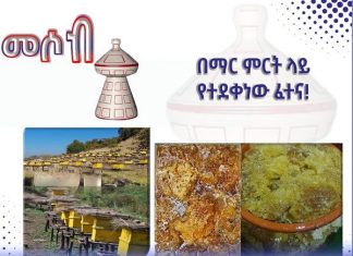 በማር ምርት ላይ የተደቀነው ፈተና!