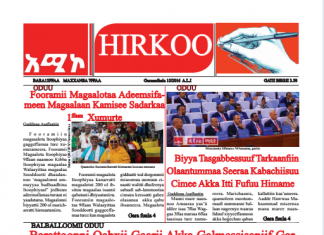 Maxxansa Gaazexaa Hirkoo: Guraandhala 15/2016