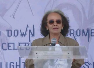 የአዕምሮ ዕድገት ውስንነት ያለባቸው ወገኖች ላይ መሥራት እንደሚገባ ተመላከተ።