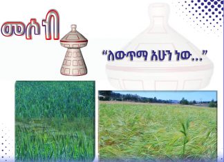 “ለውጥማ አሁን ነው…”