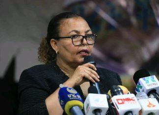 የኢትዮጵያ ታላቁ የሕዳሴ ግድብ ፕሮጀክት አፈጻፀም 95 በመቶ መድረሱ ተገለጸ።