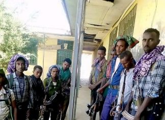 በማዕከላዊ ጎንደር ዞን በጠገዴ ወረዳ የሰላም ጥሪውን የተቀበሉ ታጣቂዎች ወደ ሰላማዊ ሕይወት ተመለሱ።