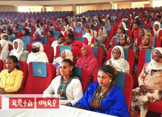 ሴቶች በሰላም ግንባታ ዘርፍ ያላቸውን እምቅ አቅም እንዲጠቀሙ ጥሪ ቀረበ።