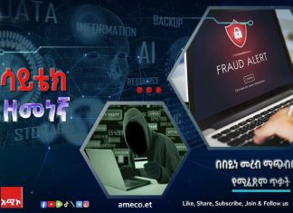 በበይነ መረብ ማጭበርበር የሚፈጸም ጥቃት