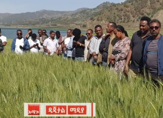 “ሐይሸንጌን ለመስኖ መጠቀም ነውር ነው እንባል ነበር ” በወፋላ ወረዳ የአዲጎሎ ቀበሌ አርሶ አደሮች