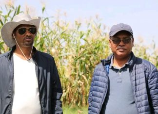 የፌዴራል መንግሥት የሱፐርቪዥን ቡድን አባላት በደቡብ ወሎ ዞን ያሉ የልማት ሥራዎችን ተመለከቱ።