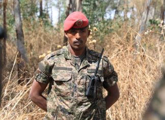 የባሕር ዳር -ጎንደር ኮማንድ ፖስት 9 ሺህ ሕገ ወጥ የሽጉጥ ጥይት በቁጥጥር ስር አዋለ።