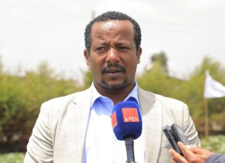 የከተማ ግብርናን በማስፋፋት ኅብረሰቡን ተጠቃሚ ለማድረግ እየሠራ እንደሚገኝ የደብረ ብርሃን ከተማ አሥተዳደር ግብርና መምሪያ አስታወቀ።