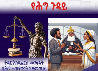 ወይዘሮ ጌጤ ለምን ተጠያቂ ኾኑ?