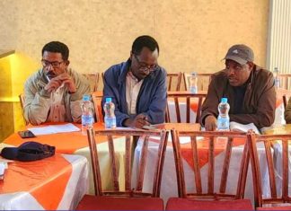 የፀጥታ ችግሮችን ለመቀልበስ እና ሰላምን ለማጽናት የተለያዩ ሥራዎች መሠራታቸውን የሰሜን ጎንደር ዞን አስታወቀ።