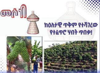 ከዕለታዊ ጥቅም የተሻገረው የተፈጥሮ ሃብት ጥበቃ!