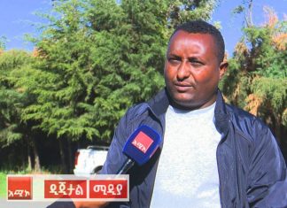 ምርታማነትን ለማሳደግ ትኩረት ሰጥቶ እየሠራ እንደሚገኝ የሰሜን ሸዋ ዞን ግብርና መምሪያ አስታወቀ።