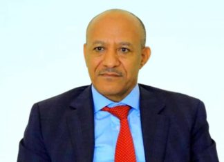 ምክትል ጠቅላይ ሚንስትር ተመስገን ጥሩነህ ሀገር አቀፍ የአካባቢ ጥበቃ ንቅናቄን አስጀመሩ፡፡