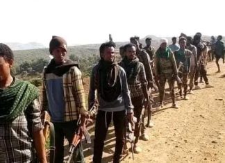 በአፈሙዝ የሚፈታ ነገር እንደሌለ ተረድተው ወደ ሕዝብ እና መንግሥት መመለሳቸውን የታጠቁ ኃይሎች ገለጹ፡፡
