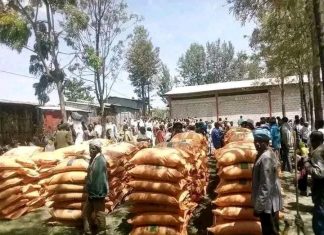 በደቡብ ጎንደር ዞን በስማዳ ወረዳ የማዳበሪያ ስርጭት እየተካሄደ ነው፡፡