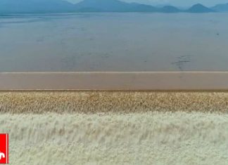 “ዓባይ የአንድነት ውጤት፤ የዘመን መብራት”