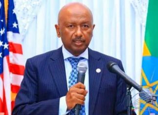 የህዳሴ ግድብ ሀገራዊ ሃብት መፍጠር የሚያስችል ወሳኝ ተግባር ነው ሲሉ አምባሳደር ኢንጂነር ስለሺ በቀለ (ዶ.ር) ገለጹ።