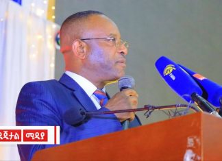 “በውጭ ብድር እና እርዳታ ላይ የተመሰረተች ሀገር የተሻለ ሉዓላዊነት ሊኖራት አይችልም” የገቢዎች ሚኒስትር ዴኤታ ተስፋየ ቱሉ