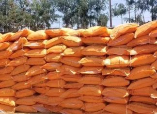 500 ሺህ ኩንታል የአፈር ማዳበሪያ ለምሥራቅ ጎጃም ዞን አርሶ አደሮች እየተሰራጨ ነው፡፡