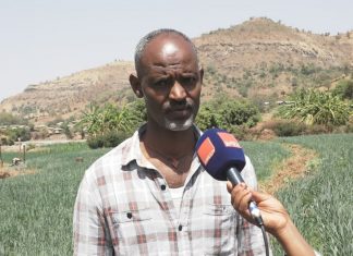 ቋሚ አትክልት እና ፍራፍሬ በማልማት ከቤት ፍጆታ ባለፈ ለገበያ በማቅረብ ውጤታማ መኾናቸውን በአዳርቃይ ወረዳ የዛሬማ ንዑስ ወረዳ አርሶ አደሮች ገለጹ፡፡