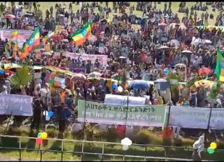 ሕዝባዊ የድጋፍ ሰልፍ በደሴ ከተማ እየተካሄደ ነው።