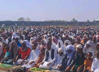 1 ሺህ 445ኛው የዒድ አልፈጥር በዓል በሰሜን ወሎ ዞን አላማጣ ከተማ እየተከበረ ነው።