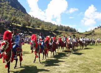 ክልሉን በውክልና ጦርነት ማፍረስ አይቻልም ሲሉ በደቡብ ወሎ ዞን አልብኮ ወረዳ የሳልመኔ ከተማ ነዋሪዎች ገለጹ፡፡