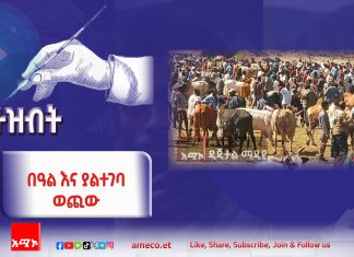 ከአዙሪት ያልተላቀቀው ህልም