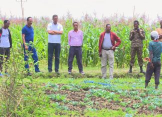 የፀጥታ ቸግሩን ተቋቁመው የመስኖ ሥራቸውን እያከናወኑ መኾናቸውን የእነማይ ወረዳ አርሶ አደሮች ገለጹ።