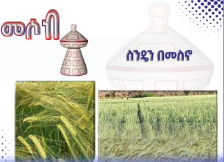 “በመስኖ ልማት በሄክታር እስከ 38 ኩንታል ማምረት ተችሏል” ግብርና ቢሮ