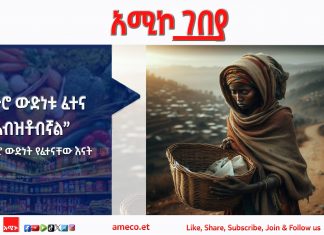 “ሰላም እና ሥራ ማግኘት የእኛ መዳኛችን ነው፣ ከዚያ ውጭ ግን የምንጎርሰውም የምናጎርሰውም እናጣለን” የኑሮ ውድነት የፈተናቸው እናት
