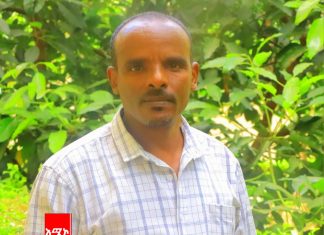 አንድ ሚሊዮን ኩንታል ስንዴ ተወቅቶ ወደ አርሶ አደሩ ቤት መግባቱን የአማራ ክልል ግብርና ቢሮ አስታወቀ።