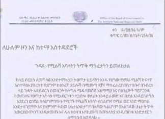“የሚሊሻ ኀይሉን በተመለከተ የሚዘዋወረው መረጃ ፍጹም መሠረተ ቢስ ነው” ኮሎኔል ግርማ ገሰሰ
