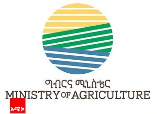 “በዘንድሮው የመስኖ ስንዴ ልማት 120 ሚሊዮን ኩንታል ምርት ለማግኘት ሰፊ ርብርብ እየተደረገ ነው” ግብርና ሚኒስቴር