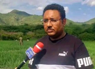 “በአማራ ክልል እስካሁን 293 ሺህ ሄክታር መሬት በመስኖ ለምቷል” ግብርና ቢሮ