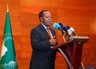 አዲስ አበባ የላቀች የዲፕሎማሲ ማእከል ሆና እንድትቀጥል መሥራት እንደሚገባ ተገለጸ።